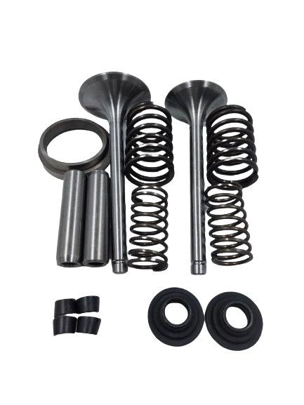 Kit de válvula de motor estacionario petrolero km186