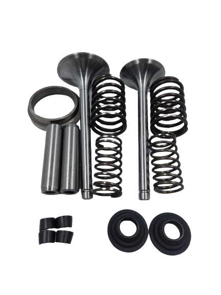 Kit de valvula de motor estacionario petrolero de 36HP