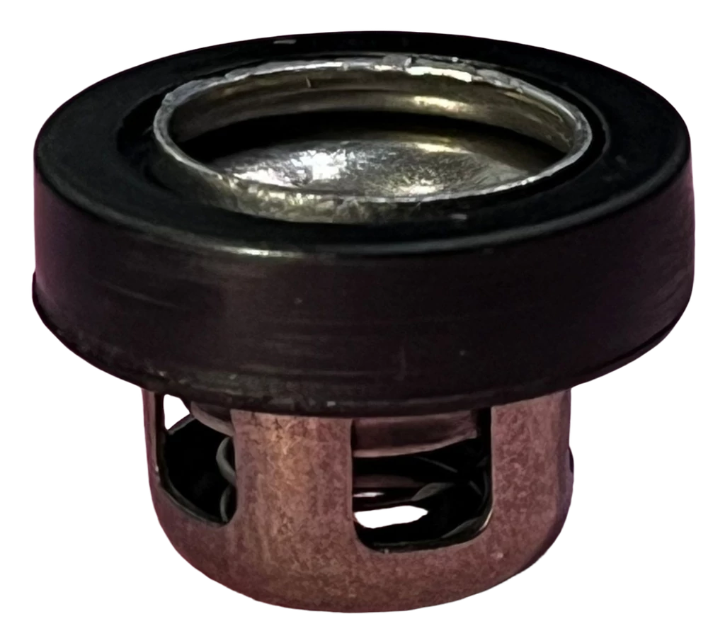Válvula check de metal de 22mm de diámetro COMPATIBLE CON 4 TIEMPO/GX35