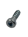 Perno Rosca Cabeza Thorx para plasticos compatible con Stihl P6x21mm paso 2.5 Motosierras