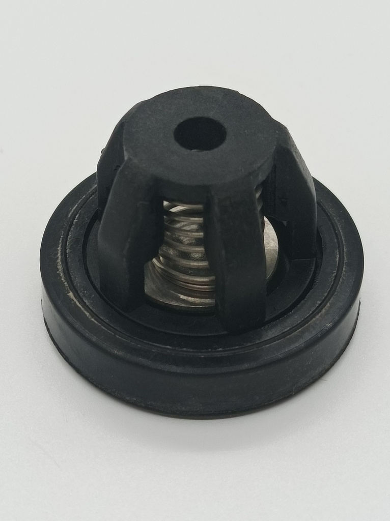 Válvula check de plástico para hidrojet de 33mm diámetro externo