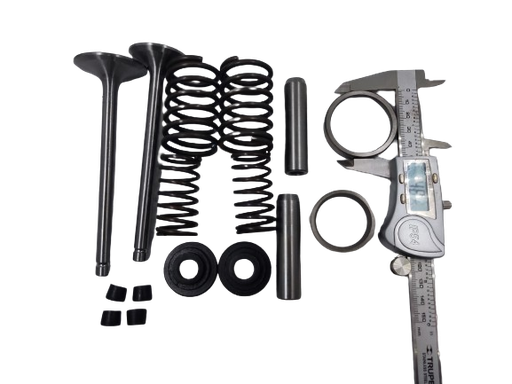 [A16.5.g2] Kit de válvula de motor estacionario petrolero km138