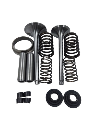 [A16.5.g3] Kit de valvula de motor estacionario petrolero de 36HP