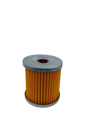 [A16.3.b4] Filtro de combustible motor petrolero 24 HP