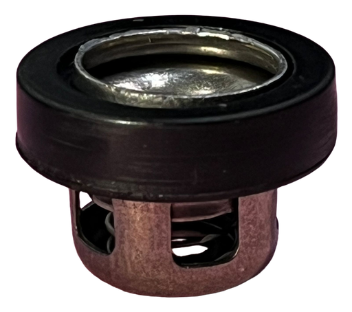 [A7.7.c4] Válvula check de metal de 22mm de diámetro COMPATIBLE CON 4 TIEMPO/GX35